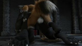 Wolf And Fox furry porn animation